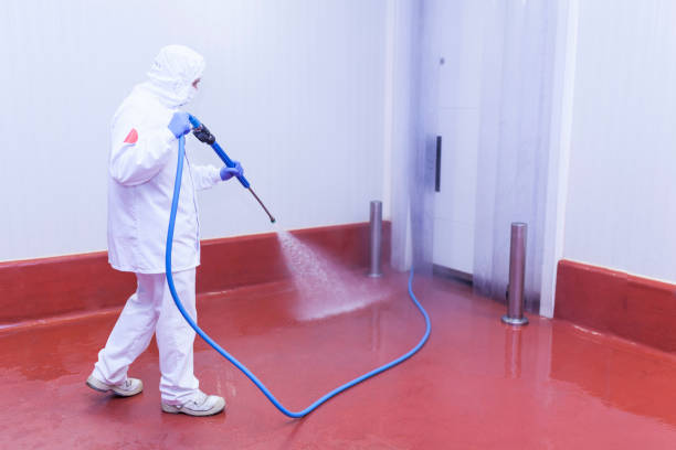 Professional Pressure Washing Services in Norwood, NC